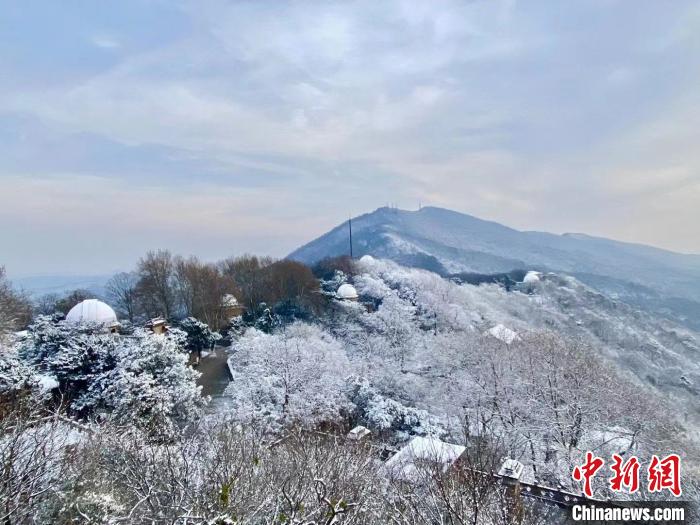 14日，俯瞰南京紫金山雪景。　陳向陽(yáng) 攝