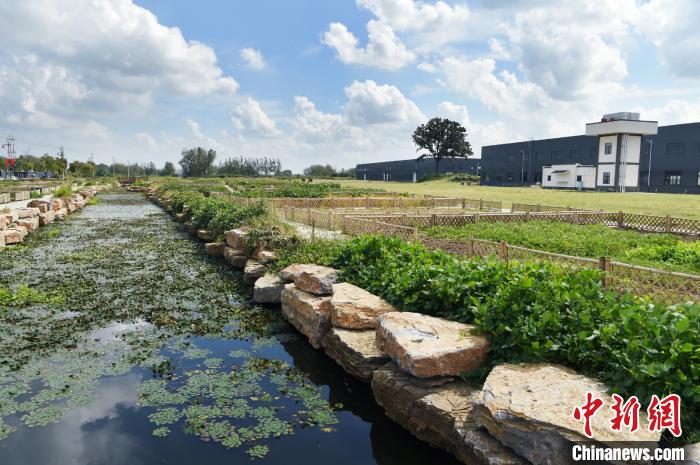 為實(shí)現(xiàn)就業(yè)、務(wù)農(nóng)兩不誤，社區(qū)集中安排菜地。金湖縣呂良鎮(zhèn)供圖