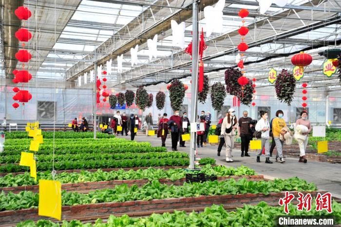 大年初一上午，來長春農(nóng)博園游覽的游客絡(luò)繹不絕?！「啐埌?攝