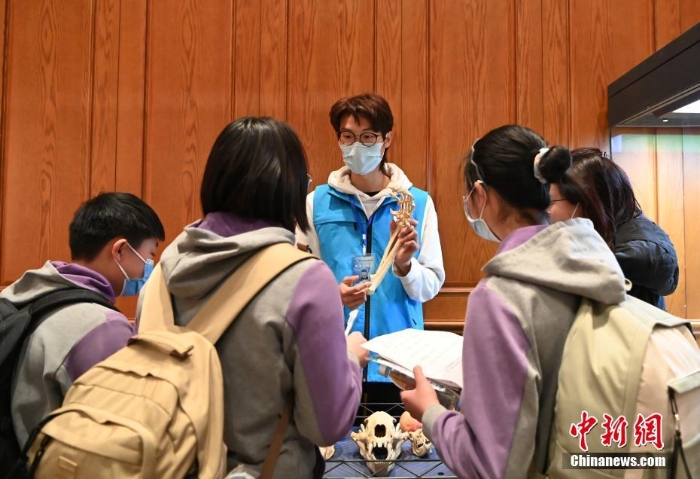 全球首家大熊貓主題互動體驗專題博物館開館