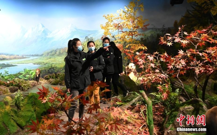 全球首家大熊貓主題互動體驗專題博物館開館