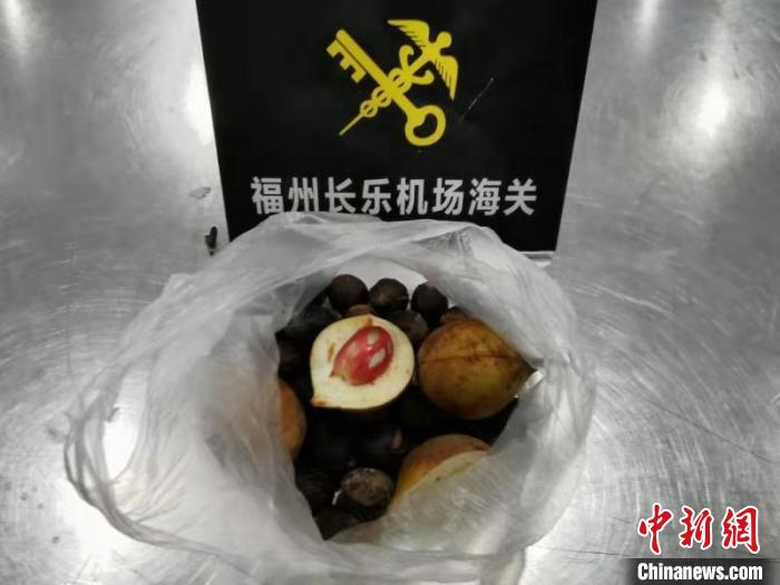 福州長樂機場海關(guān)首次在旅檢渠道截獲肉豆蔻種子