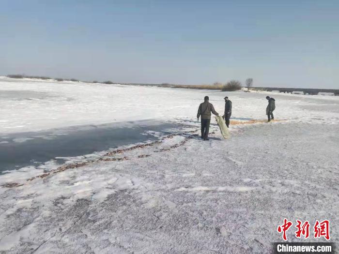 工作人員在投食玉米。撓力河保護區(qū)提供