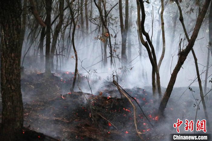 圖為火災(zāi)救援現(xiàn)場(chǎng)。昆明市森林消防支隊(duì)提供