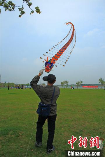 邵國強放飛風箏?！∥坛康?攝