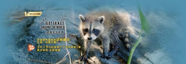 點(diǎn)擊進(jìn)入下一頁