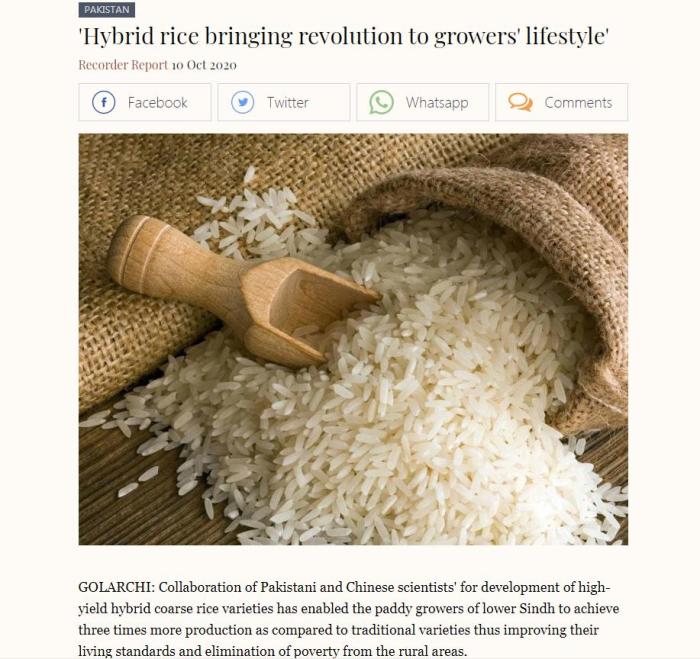 點(diǎn)擊進(jìn)入下一頁