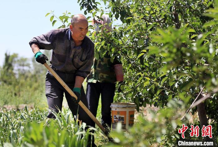 點擊進(jìn)入下一頁