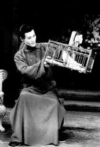 藍(lán)天野在《北京人》中飾演曾文清