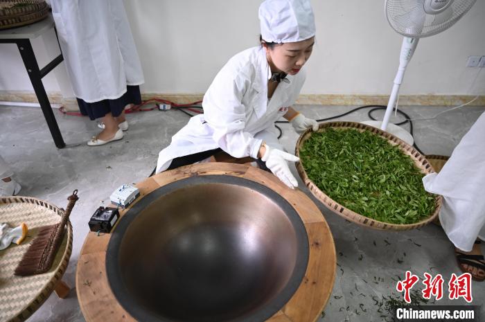 6月25日，四川成都邛崍夾關鎮(zhèn)，工作人員準備對茶葉進行殺青?！埮d龍 攝