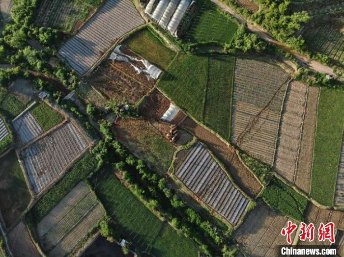 圖為監(jiān)測到的象群。　云南省森林消防總隊供圖