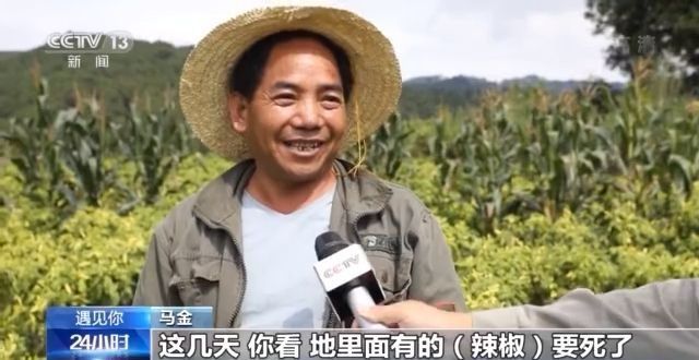 點擊進(jìn)入下一頁