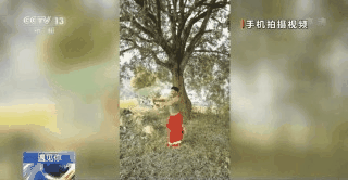 點擊進(jìn)入下一頁