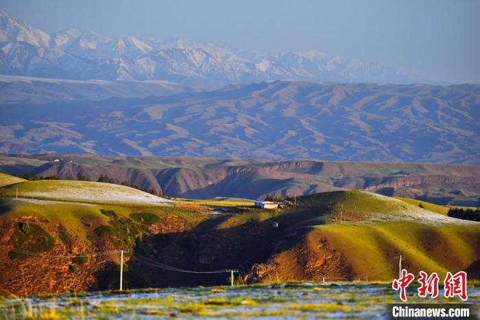 2020年6月3日清晨，祁連山下甘肅張掖市肅南裕固族自治縣境內(nèi)的草原如詩如畫。(資料圖) 武雪峰 　攝