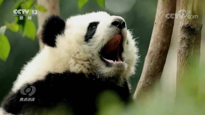 點擊進入下一頁