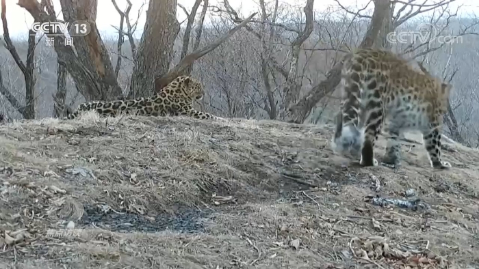 點擊進入下一頁