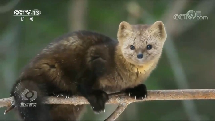 點擊進入下一頁