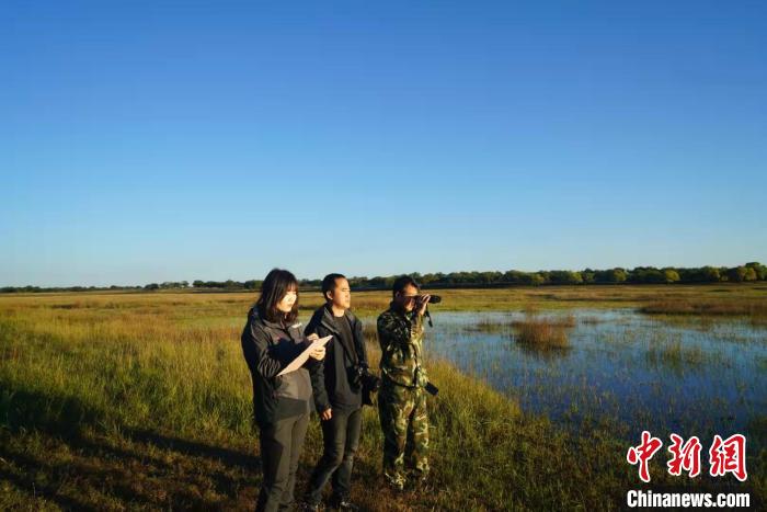 科爾沁國(guó)家級(jí)自然保護(hù)區(qū)迎萬(wàn)只候鳥(niǎo)珍稀鳥(niǎo)類首次大批落腳