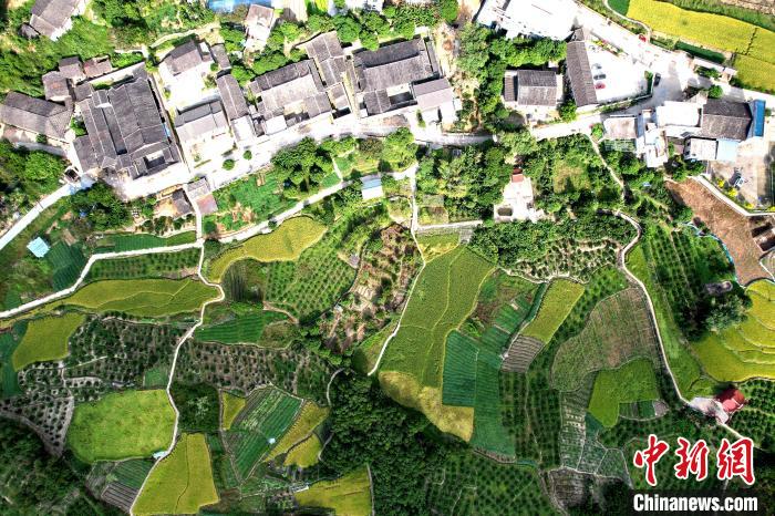 空中鳥瞰林柄村，古厝稻田相得益彰?！⊥鯑|明 攝