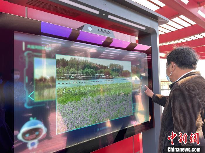 一名游客在月島觀景臺上使用導覽大屏?！堨蠚g 攝