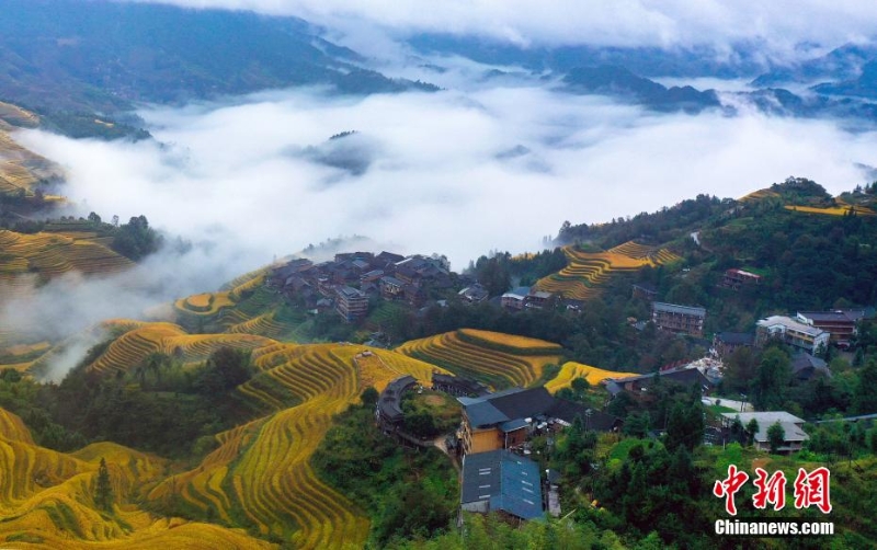 廣西龍勝：龍脊梯田云海美如畫