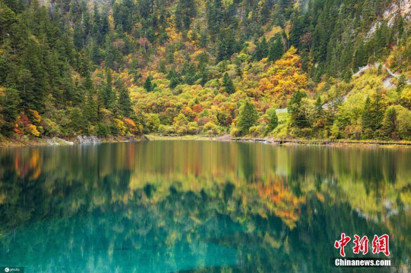 四川九寨溝秋意正濃 高海拔區(qū)域迎降雪