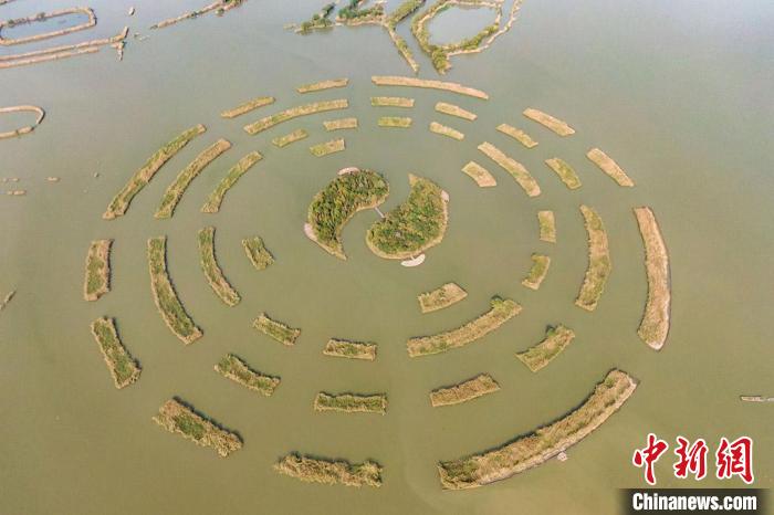 長蕩湖上造型獨特的景致?！°蟛?攝