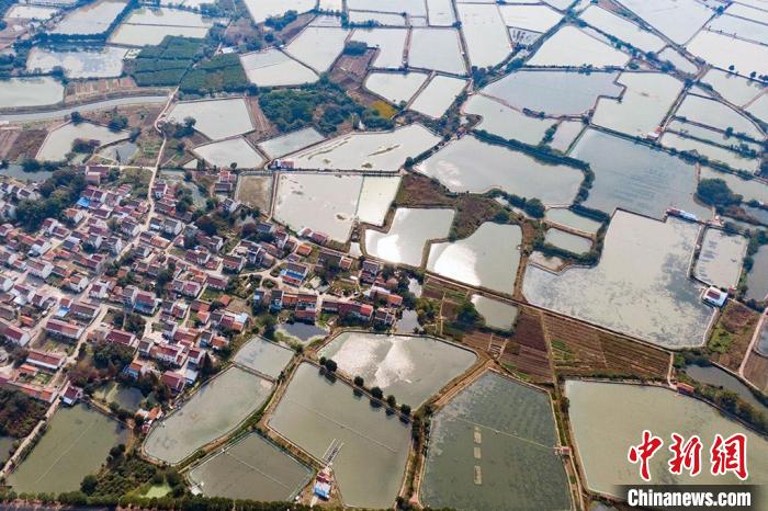 航拍長蕩湖畔，猶如蘇南平原上的一面面“明鏡”。　泱波 攝