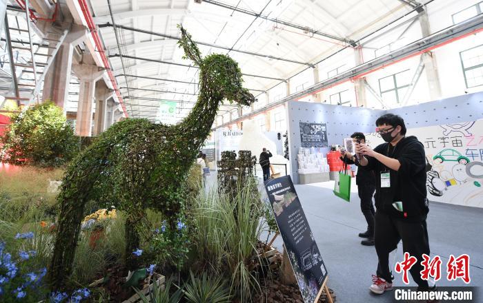 圖為：參觀者在“植物空間站”拍照打卡?！⊥鮿?攝