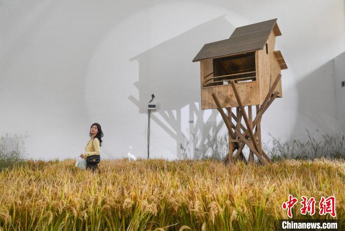 圖為：室內(nèi)有機(jī)農(nóng)場吸引參觀者。　王剛 攝