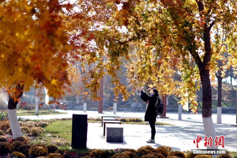 北京世園公園紅葉進入最佳觀賞期  引游客游園打卡