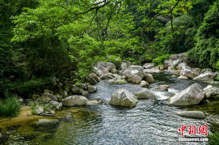 圖為海南熱帶雨林國家公園體制試點(diǎn)區(qū)吊羅山片區(qū)南喜峽谷內(nèi)的河流。