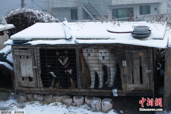 點擊進(jìn)入下一頁