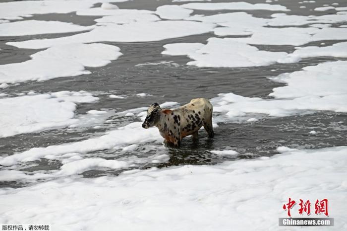 點(diǎn)擊進(jìn)入下一頁(yè)