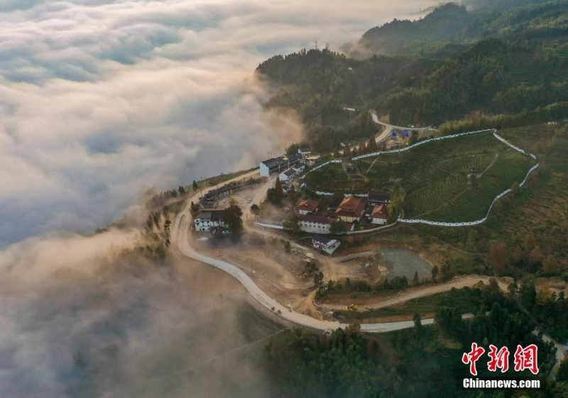 浙江景寧：壯麗云海入畫來(lái)