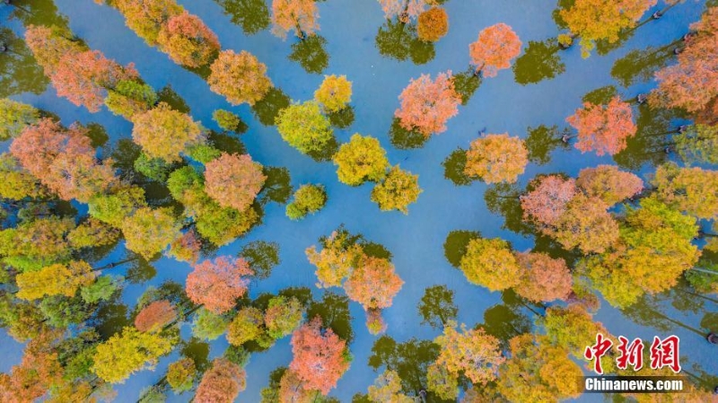 初冬漲渡湖五彩斑斕 美如畫卷