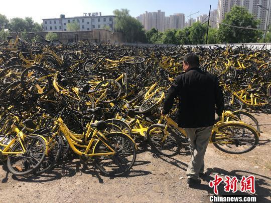 工作人員將回收的共享單車集中擺放在一起?！№f亮 攝