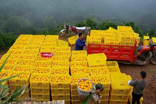 點擊進入下一頁