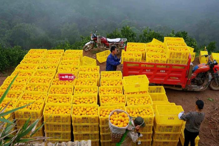 點擊進(jìn)入下一頁