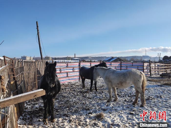 極寒天氣下的內(nèi)蒙古。　呼倫貝爾氣象局供圖