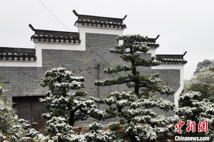 圖為：寧波奉化溪口鎮(zhèn)三十六灣村雪景在粉墻黛瓦襯托下呈現(xiàn)獨(dú)特江南景致。　袁建成(通訊員) 攝