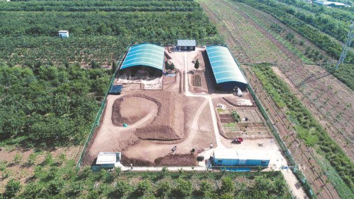 江村大墓1號發(fā)掘點遠(yuǎn)景。 陜西省文物局供圖