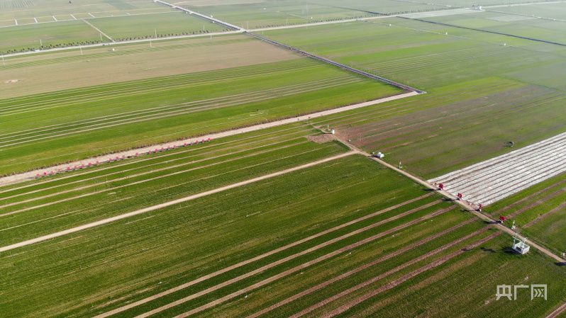 點(diǎn)擊進(jìn)入下一頁