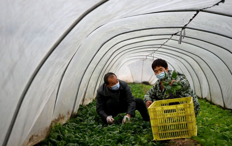 點擊進入下一頁