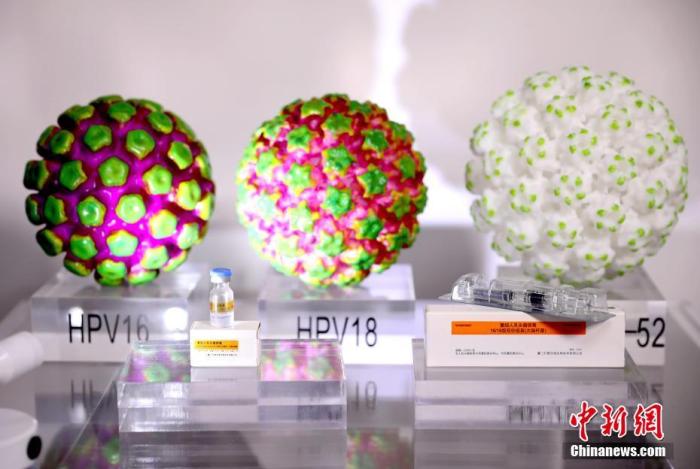 資料圖：設在廈門大學的國家傳染病診斷試劑與疫苗工程技術研究中心展示HPV病毒模型和疫苗。 王東明 攝