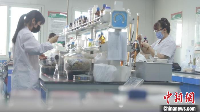 近年來，蘭州高新區(qū)吸引了越來越多的人前來逐夢。圖為科研人員在蘭州高新區(qū)區(qū)域內(nèi)的企業(yè)做實驗。(資料圖) 蘭州高新區(qū)供圖