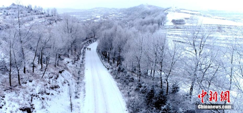 甘肅定西現(xiàn)霧凇美景 黃土塬似“瓊樓玉宇”