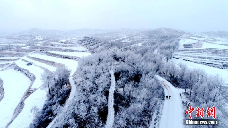 甘肅定西現(xiàn)霧凇美景 黃土塬似“瓊樓玉宇”