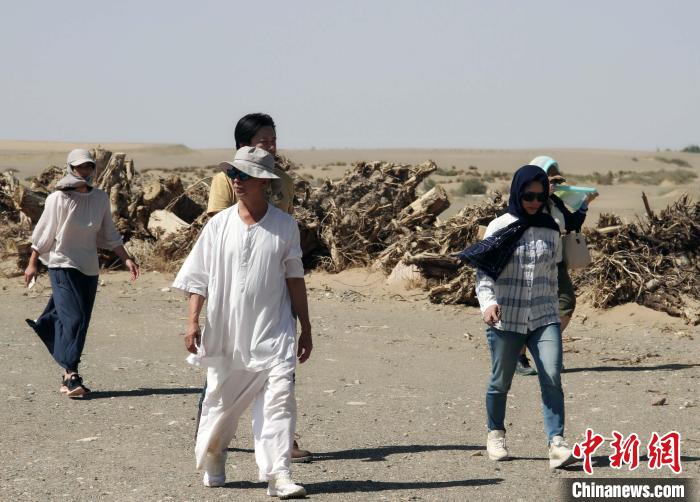 近日，臺北書院山長林谷芳受訪，談兩岸民間以視頻互致新春問候的現(xiàn)象。圖為林谷芳疫情前在敦煌考察?！×止确枷壬﹫D