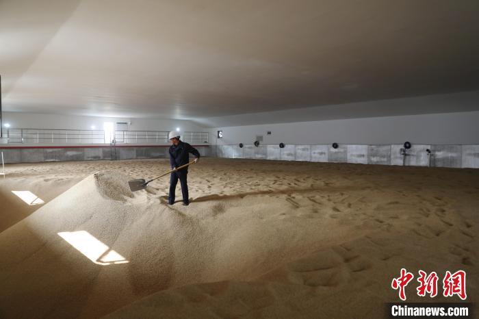 點(diǎn)擊進(jìn)入下一頁